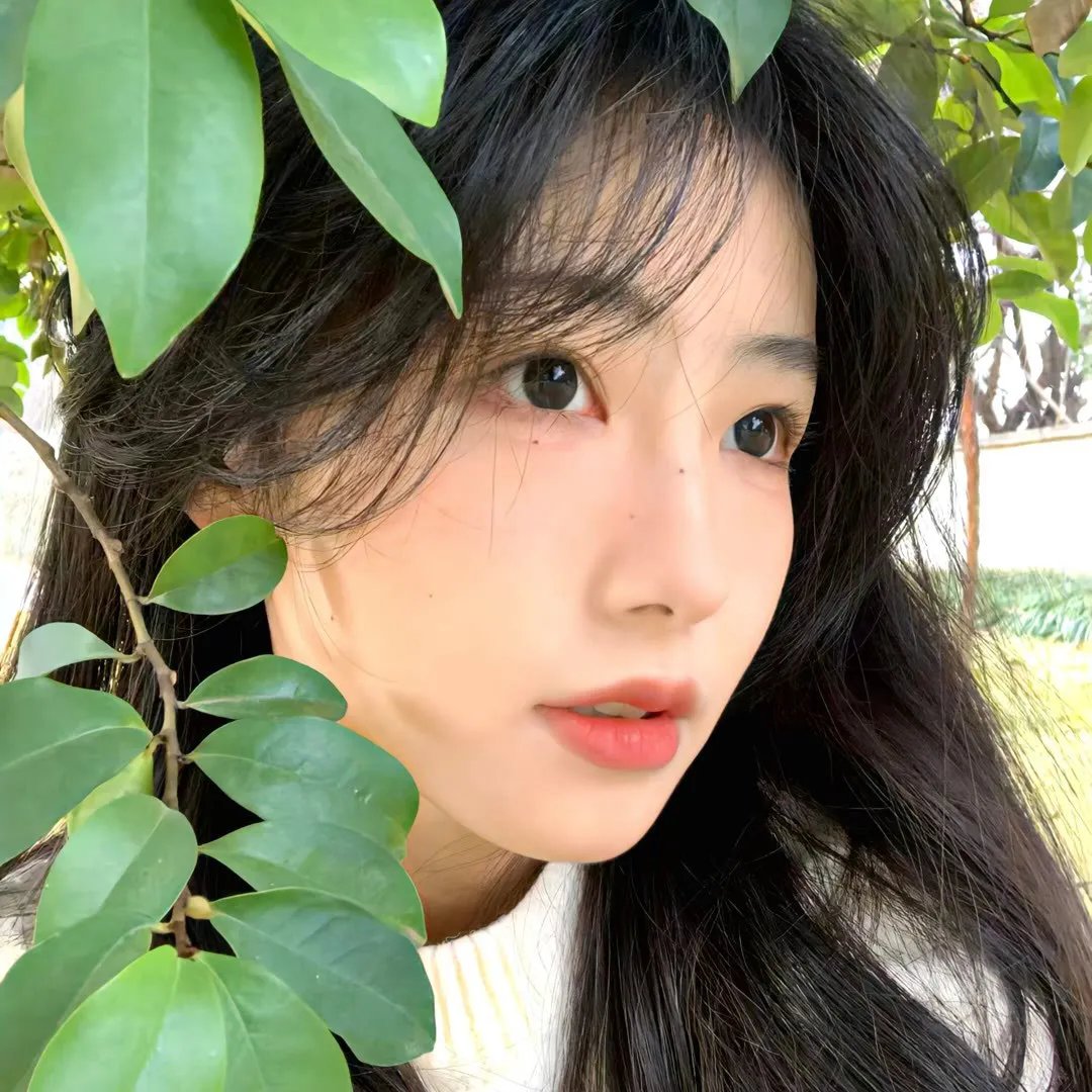月亮的秘密